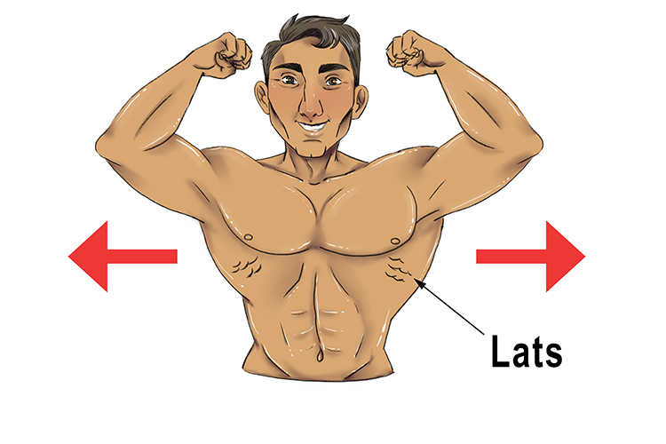 Remember, if you are a body builder your lats come out sideways on your back. This helps remind you that lateral is the sideways movement.